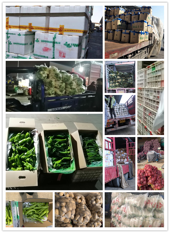 首页- 新宝GG集团创造事业平台