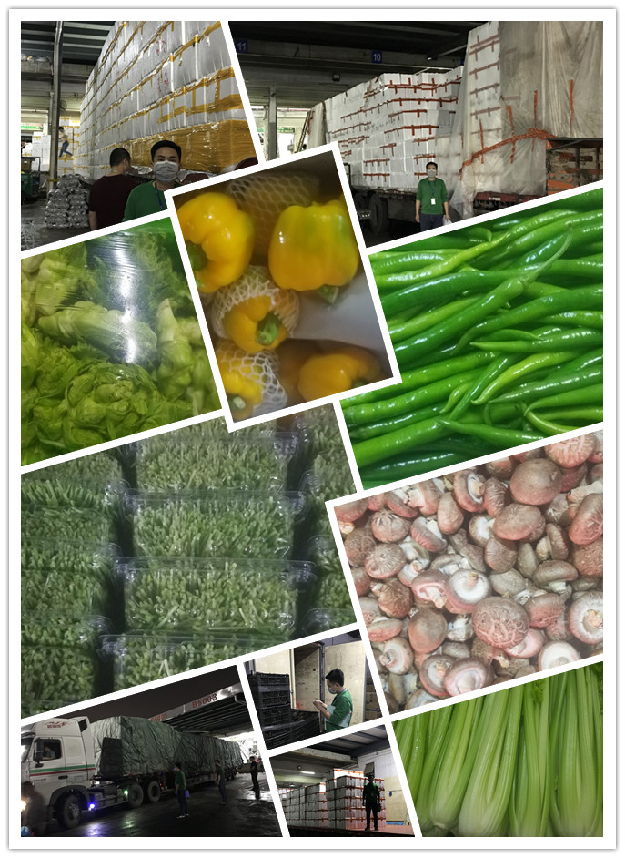 首页- 新宝GG集团创造事业平台