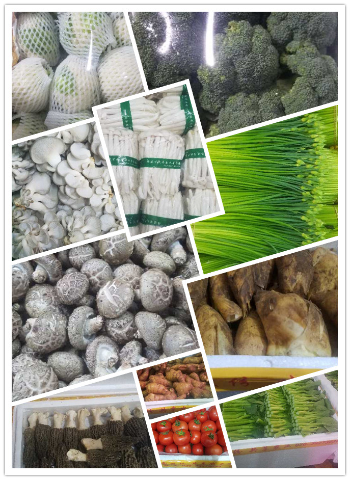 首页- 新宝GG集团创造事业平台