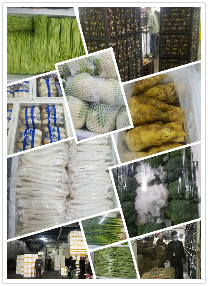 首页- 新宝GG集团创造事业平台