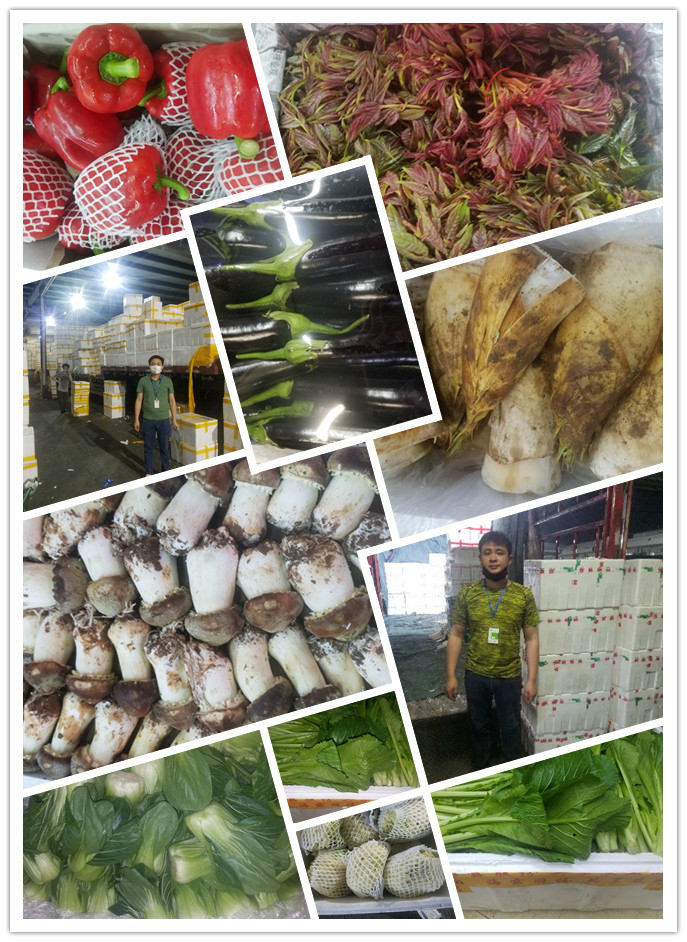 首页- 新宝GG集团创造事业平台