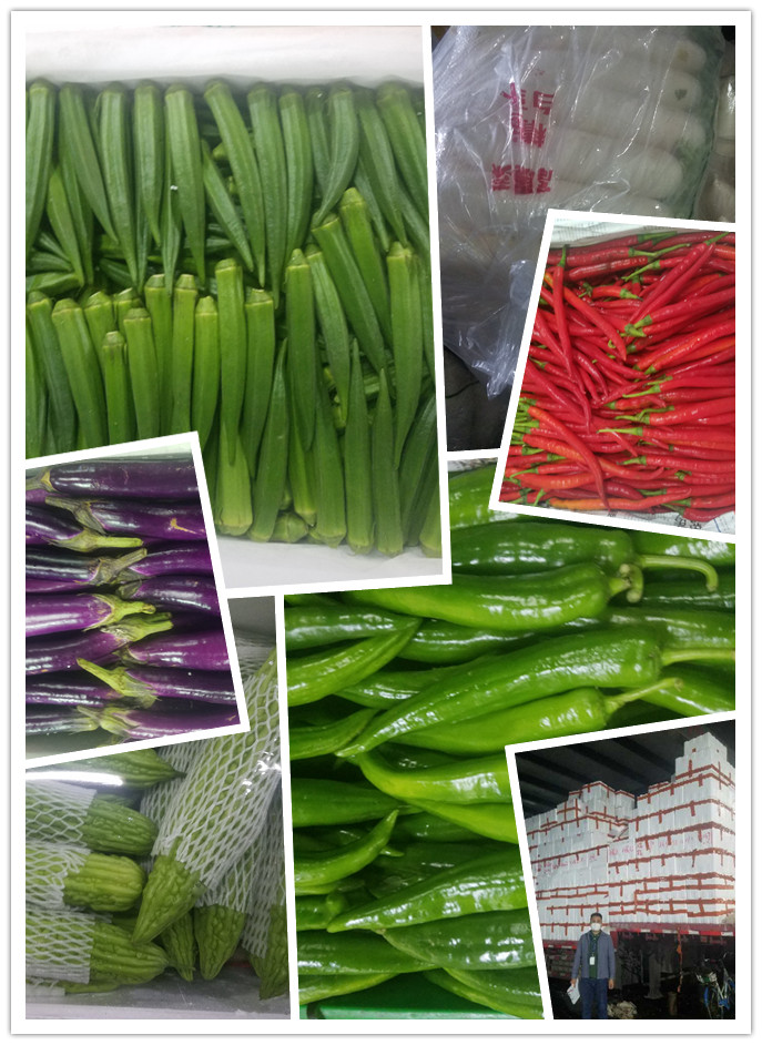 首页- 新宝GG集团创造事业平台