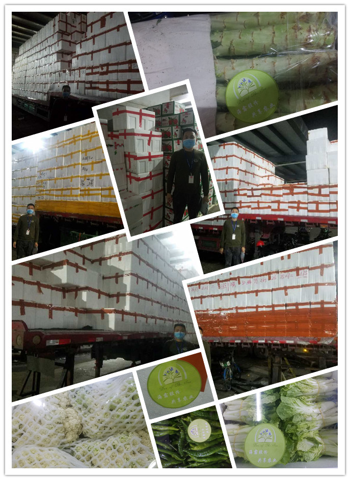 首页- 新宝GG集团创造事业平台