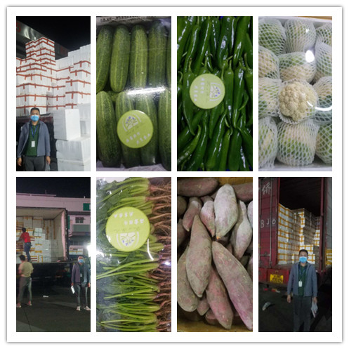 首页- 新宝GG集团创造事业平台