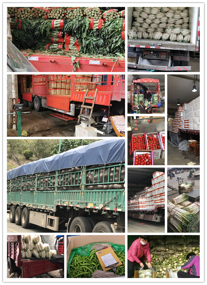 首页- 新宝GG集团创造事业平台