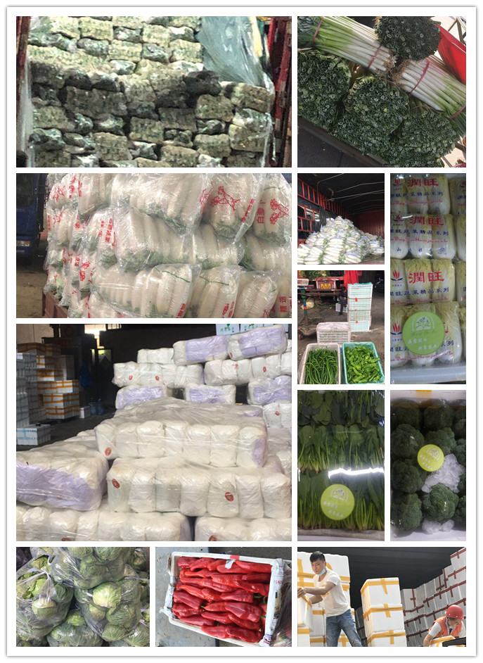 首页- 新宝GG集团创造事业平台