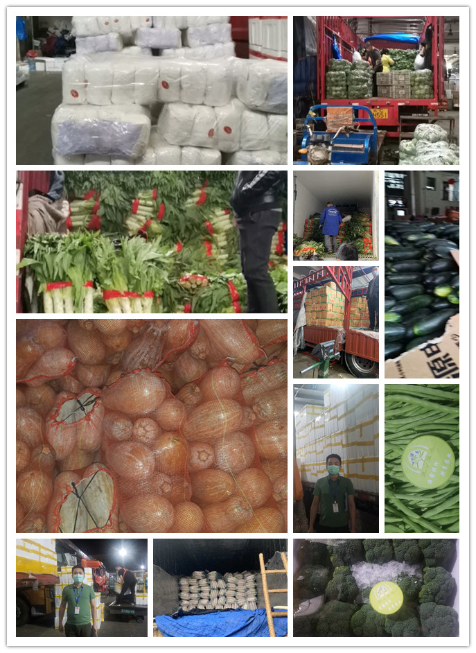 首页- 新宝GG集团创造事业平台