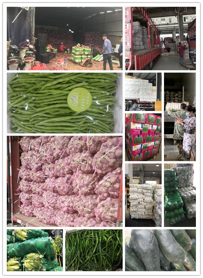 首页- 新宝GG集团创造事业平台