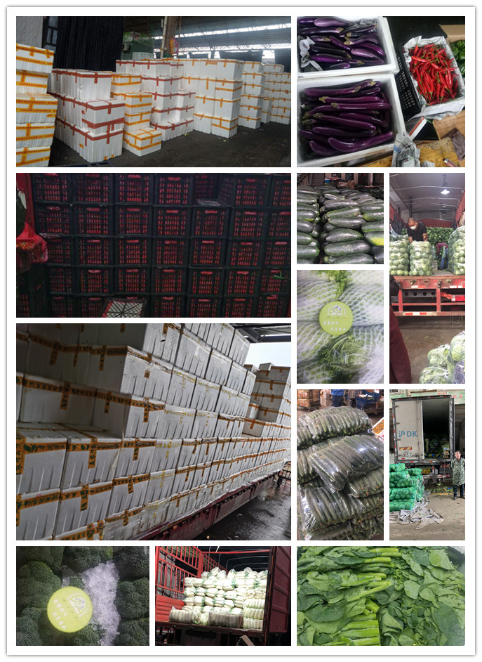 首页- 新宝GG集团创造事业平台