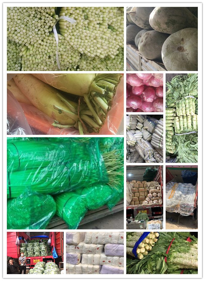 首页- 新宝GG集团创造事业平台