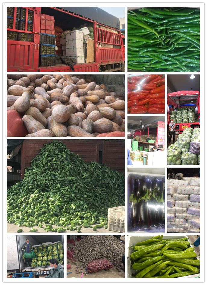 首页- 新宝GG集团创造事业平台