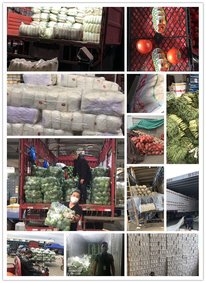 首页- 新宝GG集团创造事业平台