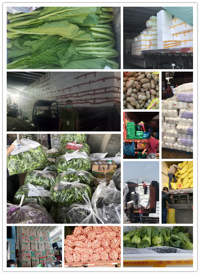 首页- 新宝GG集团创造事业平台