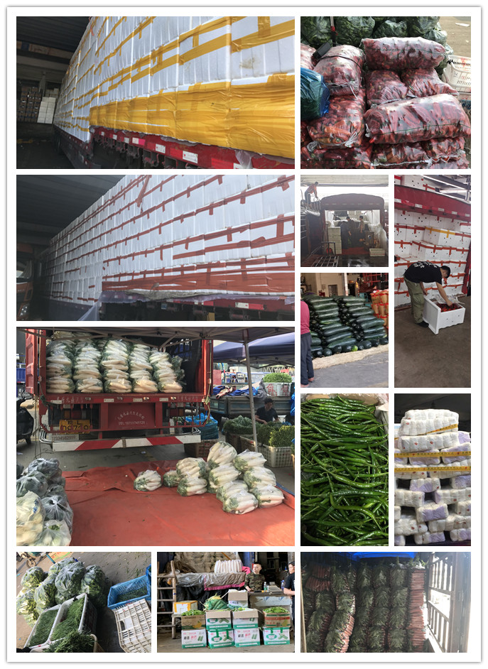 首页- 新宝GG集团创造事业平台