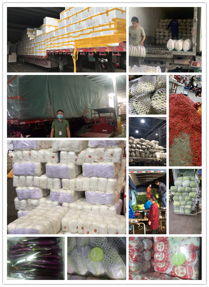 首页- 新宝GG集团创造事业平台