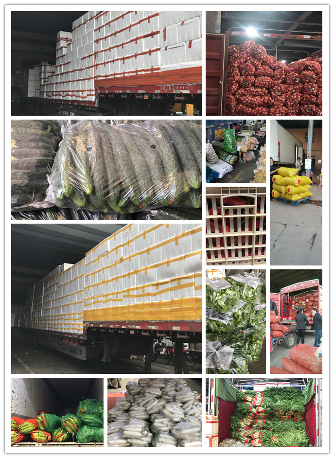 首页- 新宝GG集团创造事业平台