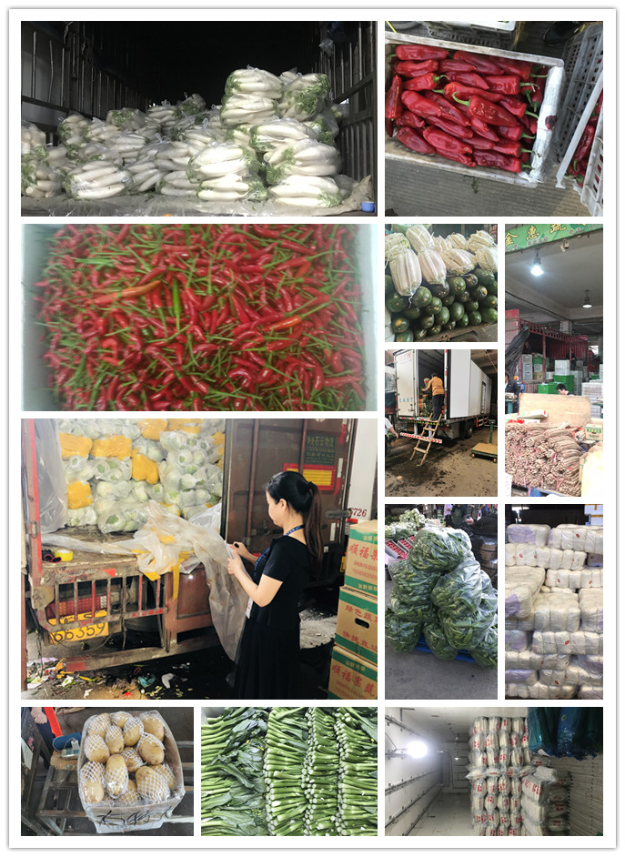 首页- 新宝GG集团创造事业平台