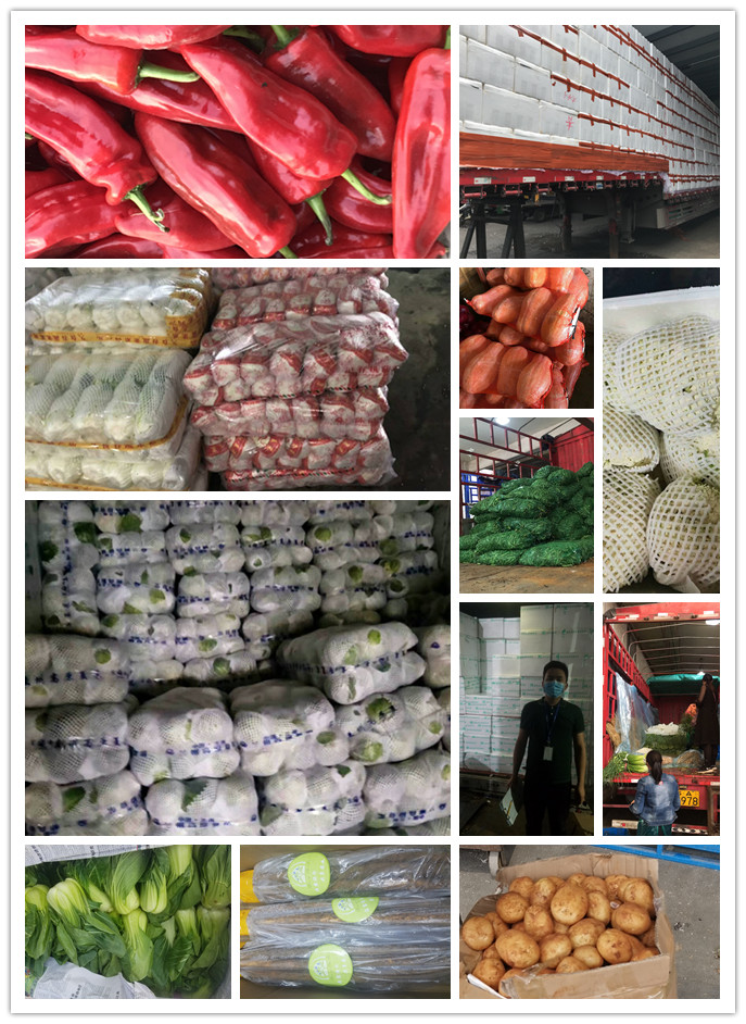 首页- 新宝GG集团创造事业平台