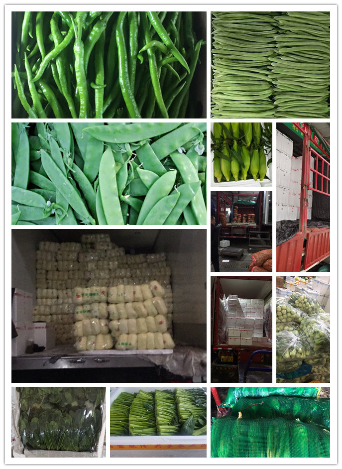 首页- 新宝GG集团创造事业平台