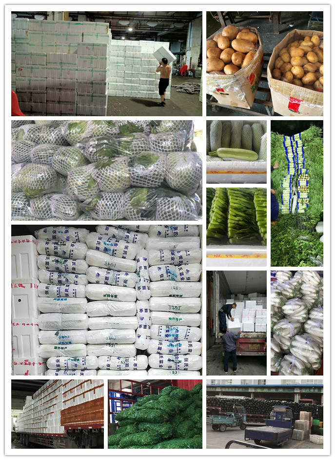 首页- 新宝GG集团创造事业平台