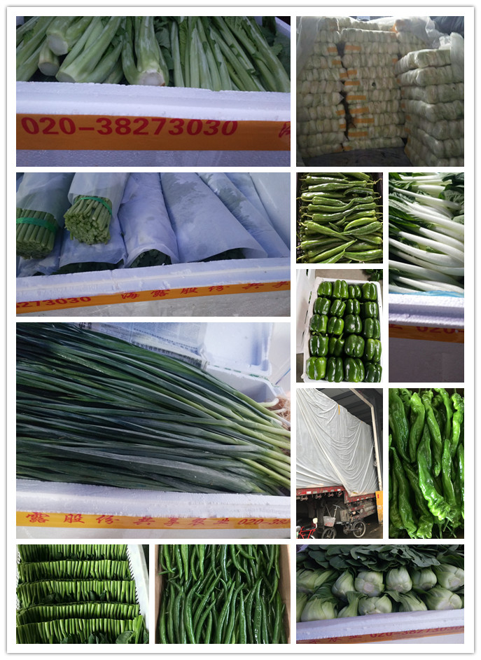 首页- 新宝GG集团创造事业平台