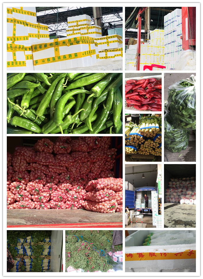 首页- 新宝GG集团创造事业平台