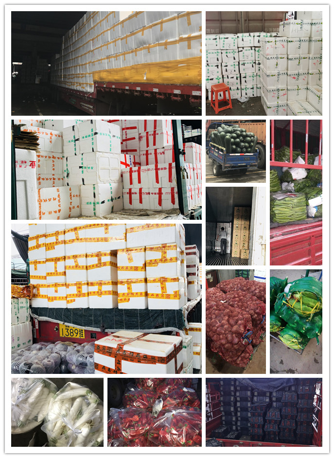 首页- 新宝GG集团创造事业平台