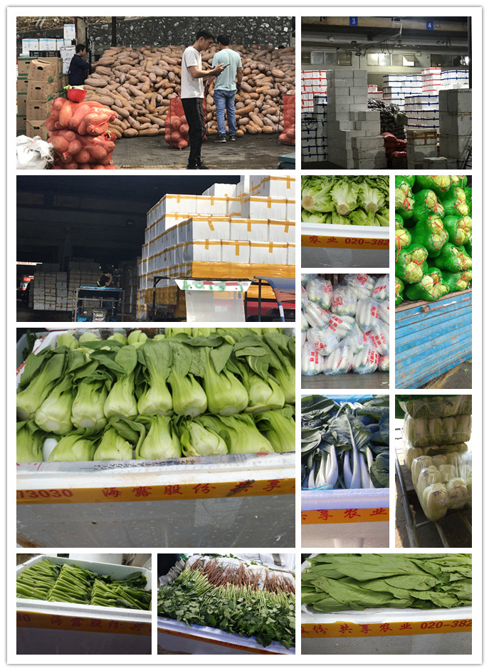 首页- 新宝GG集团创造事业平台