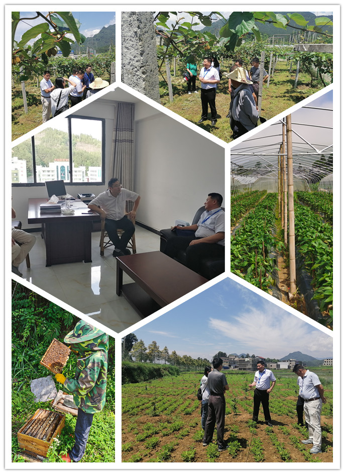 首页- 新宝GG集团创造事业平台