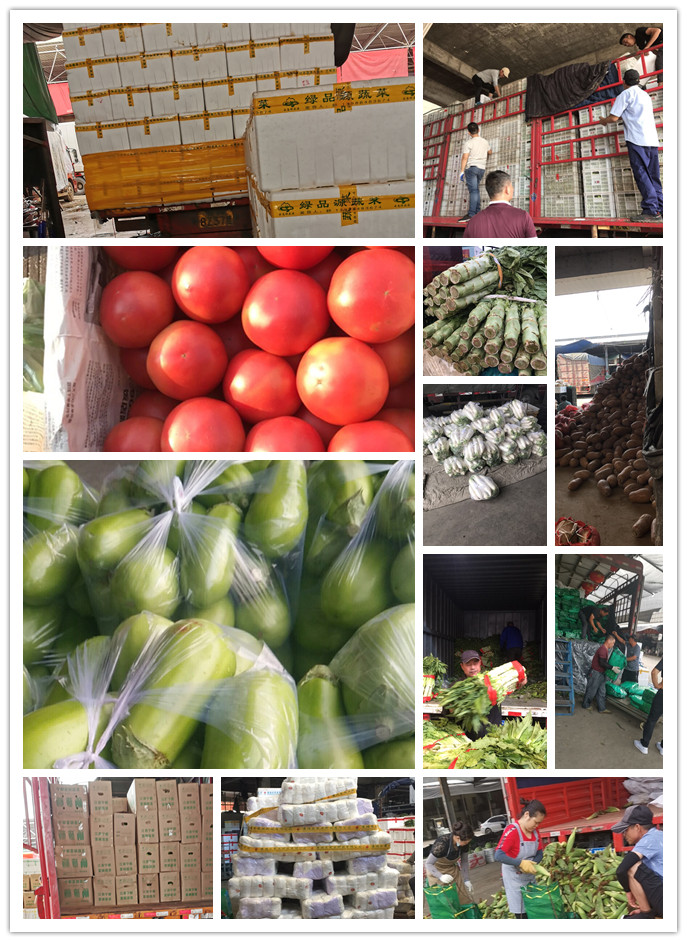 首页- 新宝GG集团创造事业平台