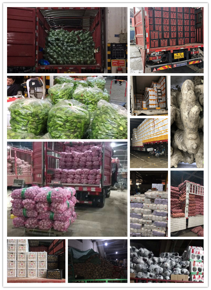 首页- 新宝GG集团创造事业平台