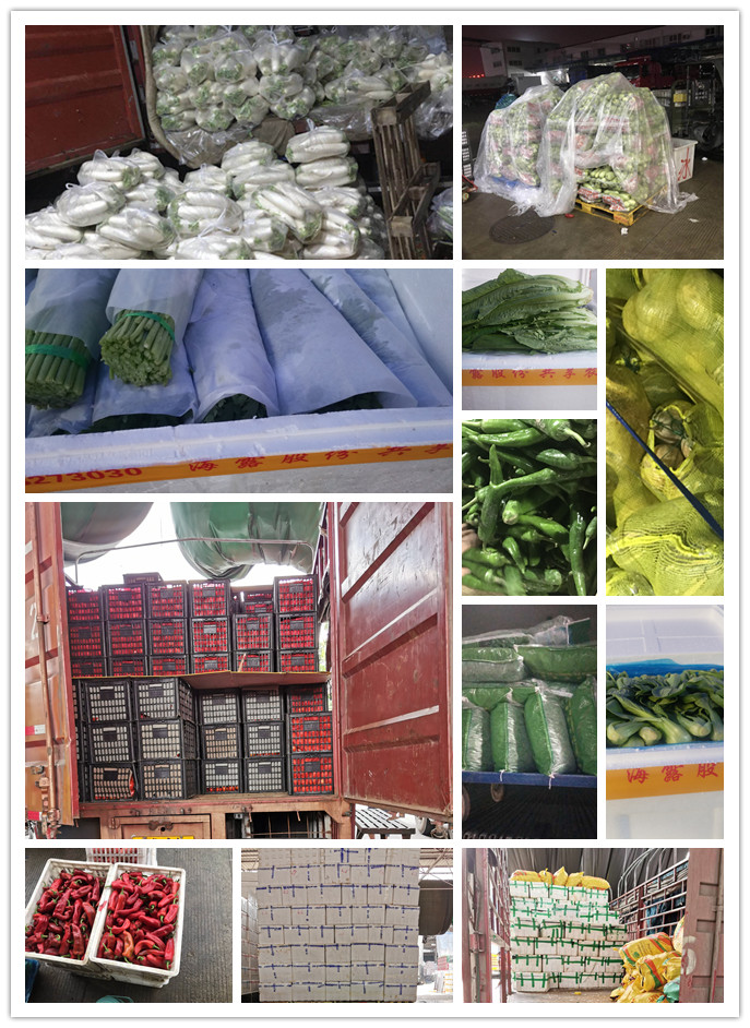 首页- 新宝GG集团创造事业平台