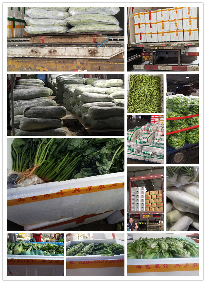 首页- 新宝GG集团创造事业平台