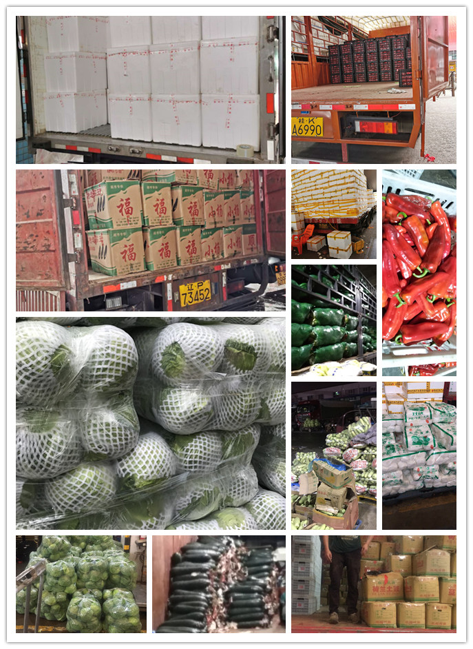 首页- 新宝GG集团创造事业平台