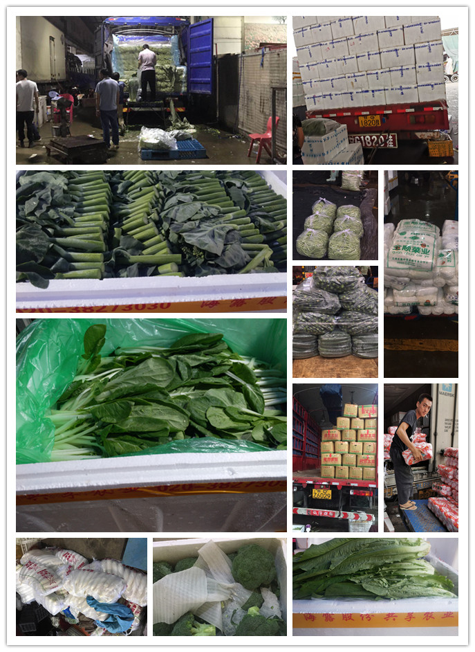 首页- 新宝GG集团创造事业平台