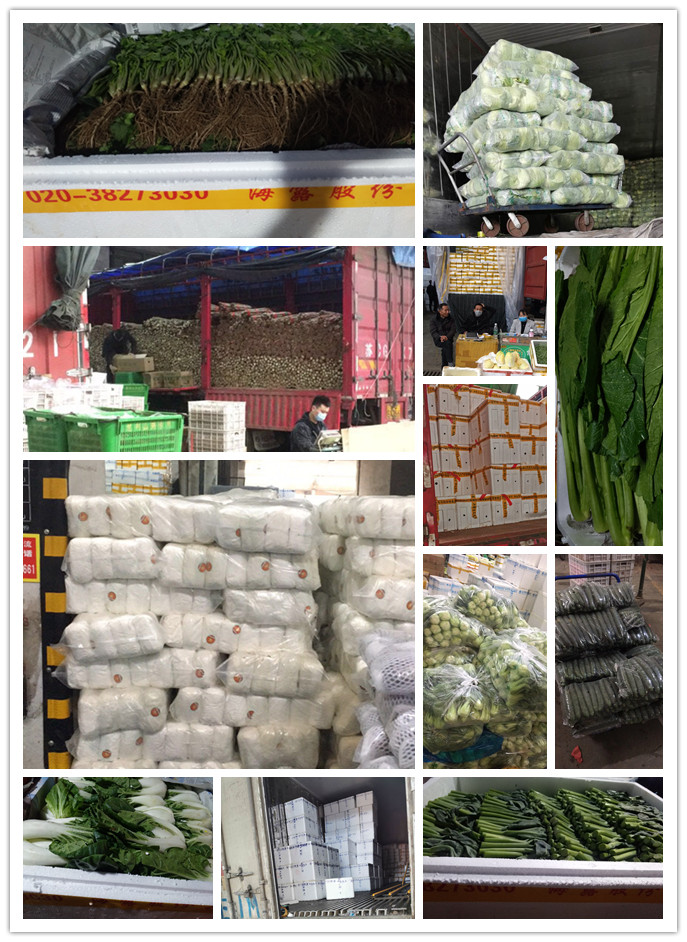 首页- 新宝GG集团创造事业平台