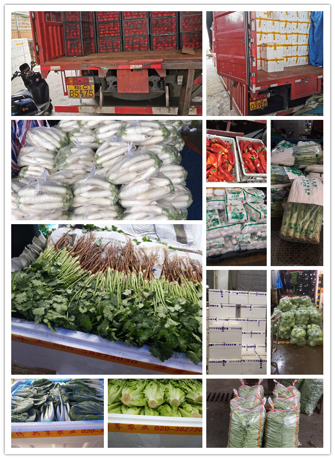 首页- 新宝GG集团创造事业平台