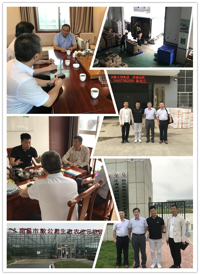 首页- 新宝GG集团创造事业平台