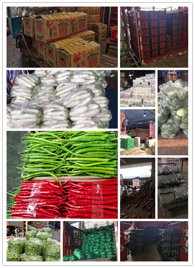 首页- 新宝GG集团创造事业平台