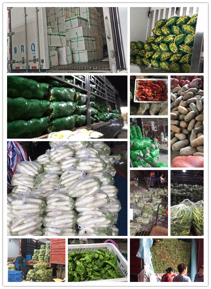 首页- 新宝GG集团创造事业平台