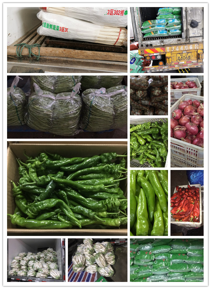 首页- 新宝GG集团创造事业平台