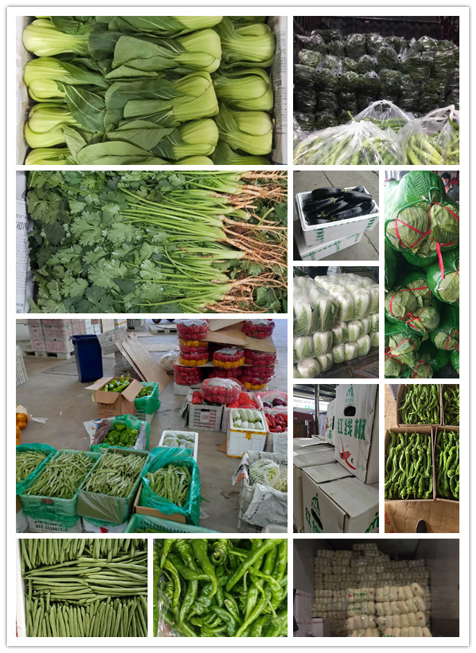 首页- 新宝GG集团创造事业平台