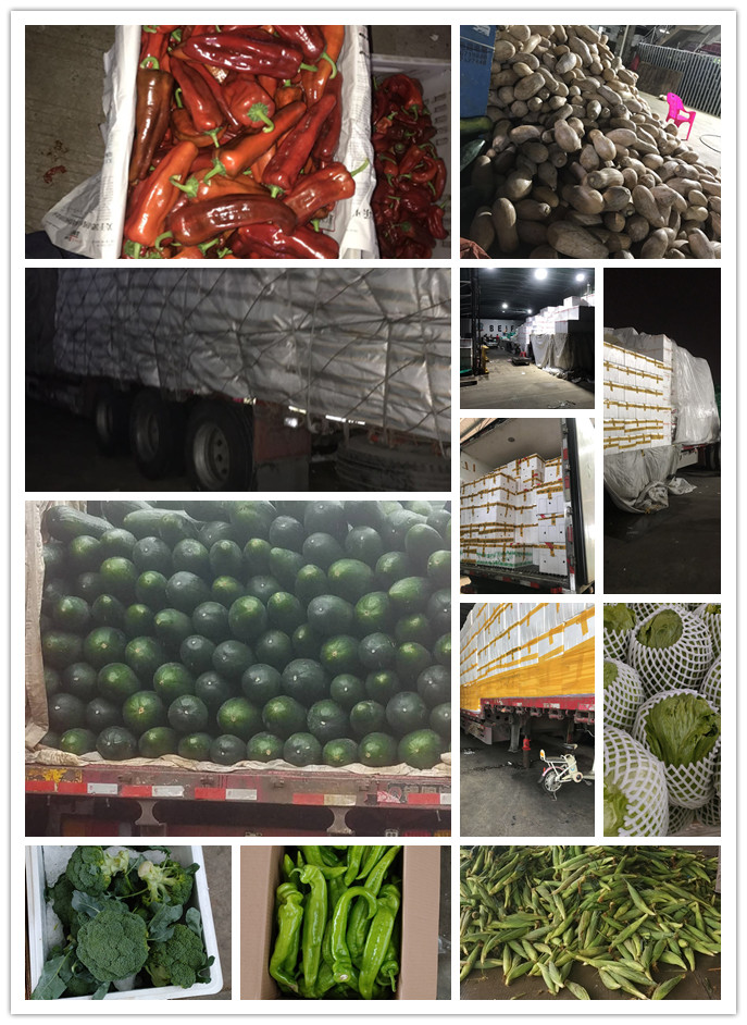 首页- 新宝GG集团创造事业平台