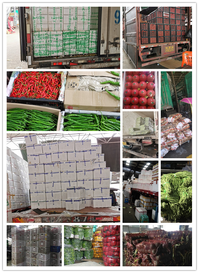 首页- 新宝GG集团创造事业平台