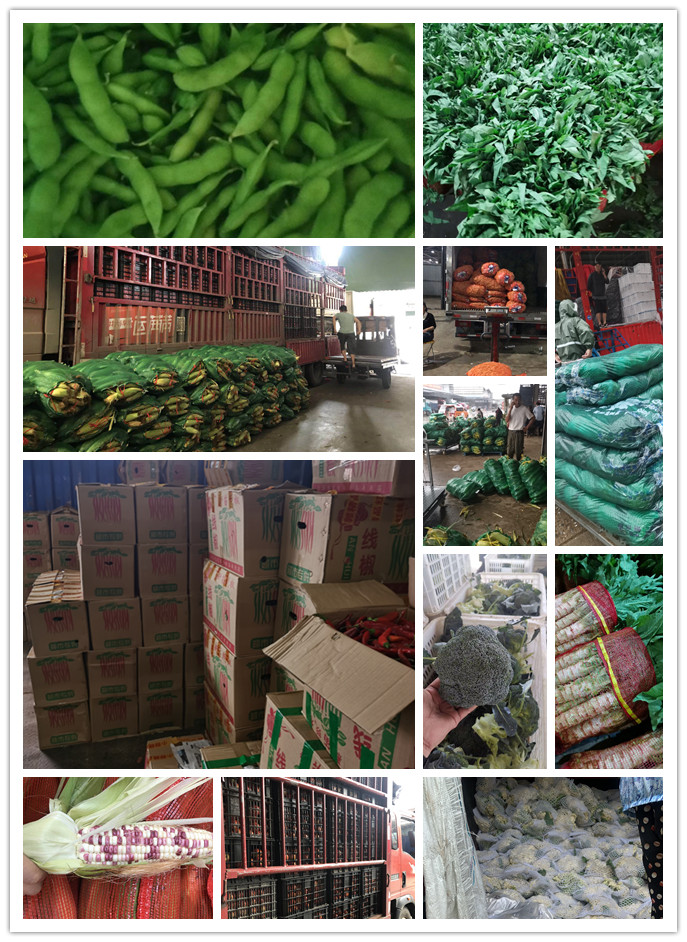 首页- 新宝GG集团创造事业平台