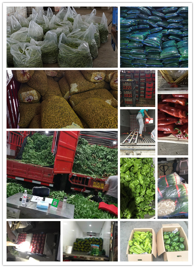 首页- 新宝GG集团创造事业平台