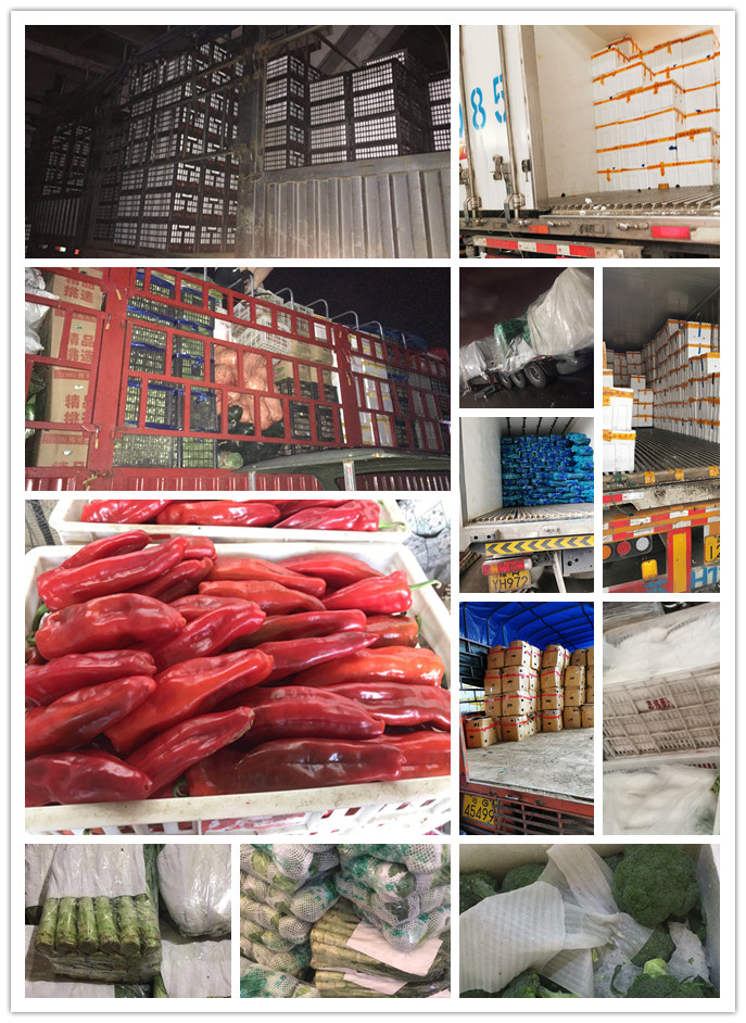 首页- 新宝GG集团创造事业平台