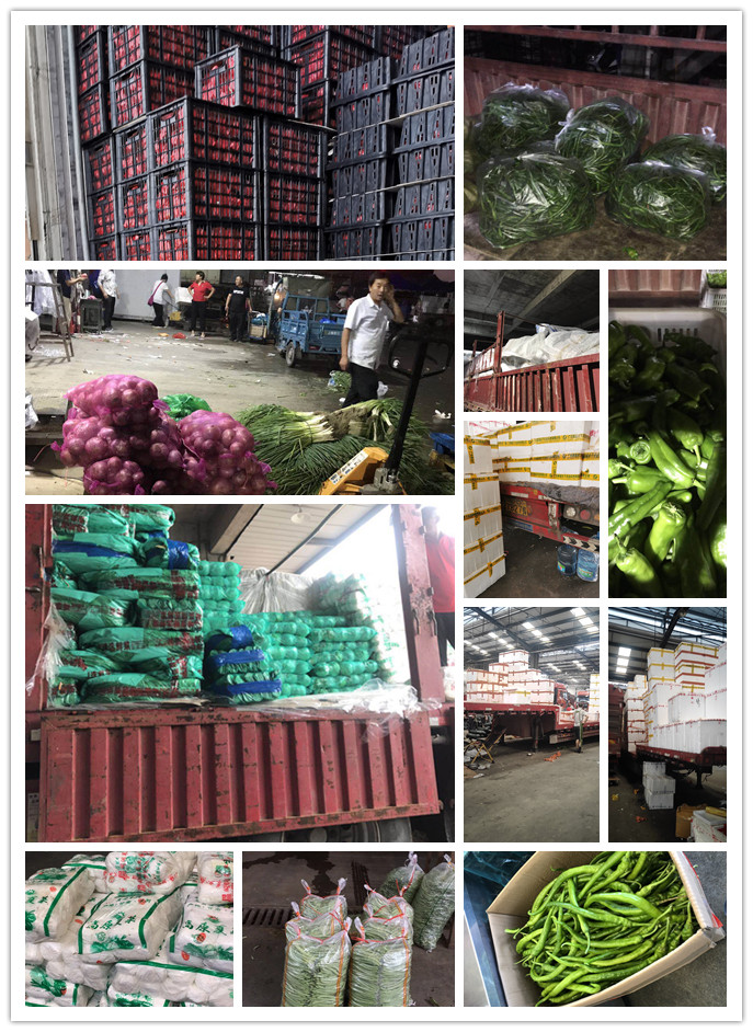 首页- 新宝GG集团创造事业平台