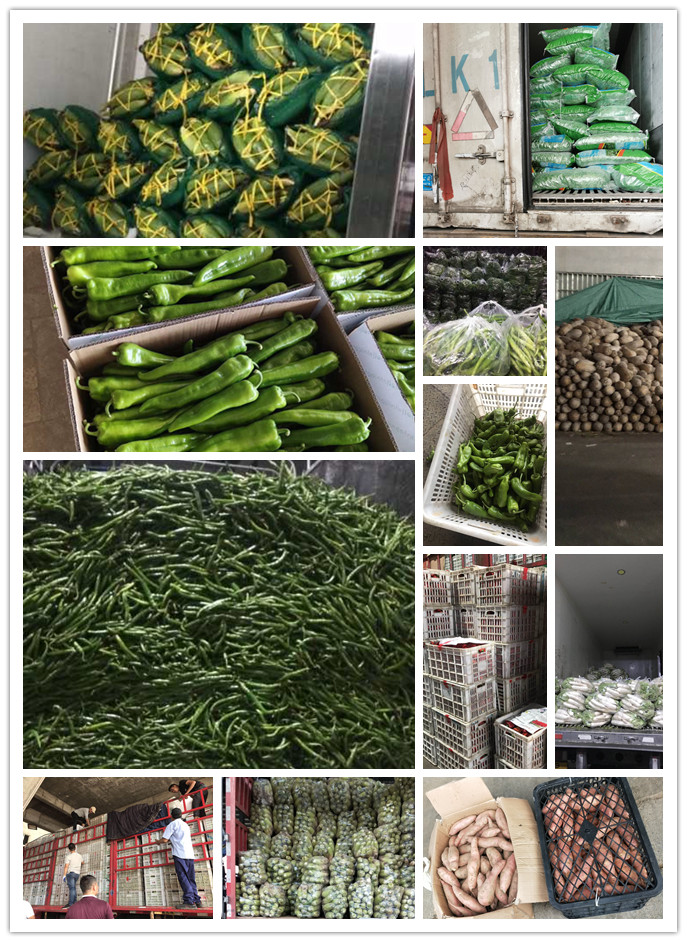 首页- 新宝GG集团创造事业平台