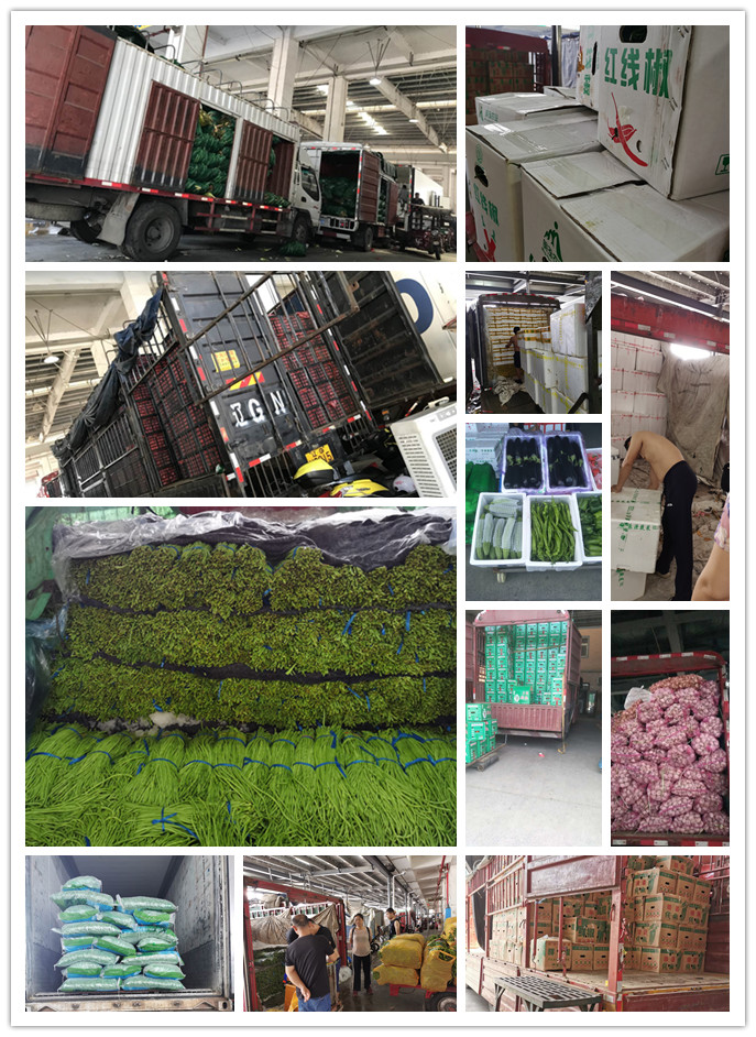 首页- 新宝GG集团创造事业平台